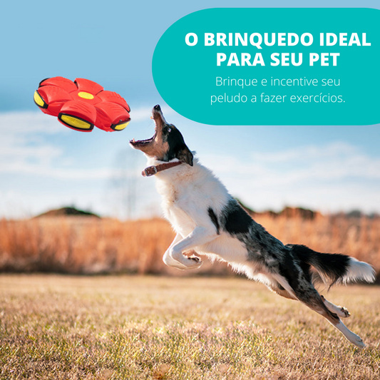 Pet Ball® - La Pelota Voladora para tu Mascota