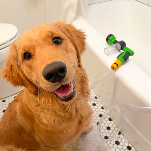 Spray para Baño de Perros Dog Jet®