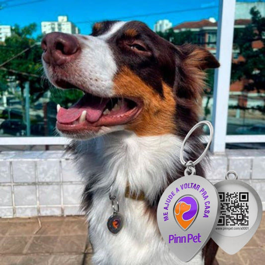 Finder Pet - Descubre en tiempo real dónde está tu mascota
